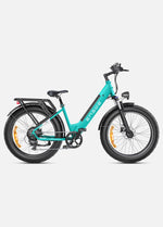 ENGWE E26 250W 140 km Max Speed 25 km/h Dual Suspension All-Terrain E-bike
