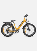ENGWE E26 250W 140 km Max Speed 25 km/h Dual Suspension All-Terrain E-bike