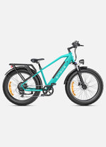 ENGWE E26 250W 140 km Max Speed 25 km/h Dual Suspension All-Terrain E-bike