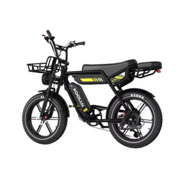 Koolux X9 Pro Foldable Electric Bike Dual Battery 31.2Ah in Black